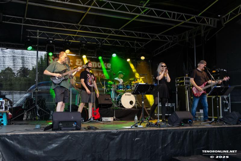 Sonic and Smoke beim Abendkonzert auf der Bühne im grünen Scheinwerferlicht.